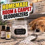 Homemade Room & Carpet Deodorizers