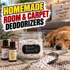 Homemade Room & Carpet Deodorizers Homemade Room & Carpet Deodorizers