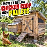 How To Build A Chicken Coop From Pallets
