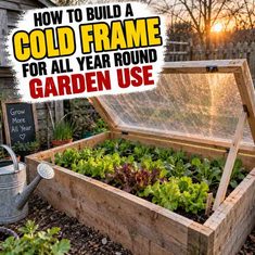 How To Build A Cold Frame For All Year Round Garden Use How To Build A Cold Frame For All Year Round Garden Use