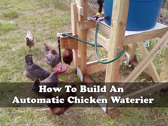 How To Build An Automatic Chicken Waterier