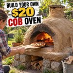 How To Build Your Own $20 Outdoor Cob Oven