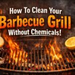 How To Clean Your Barbecue Grill Without Chemicals!