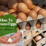 How To Freeze Fresh Eggs