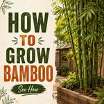How To Grow Bamboo In Your Garden