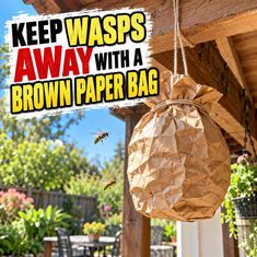 How To Keep Wasps Away Using A Brown Paper Bag How To Keep Wasps Away Using A Brown Paper Bag