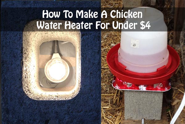 How To Make A Chicken Water Heater For Under $4