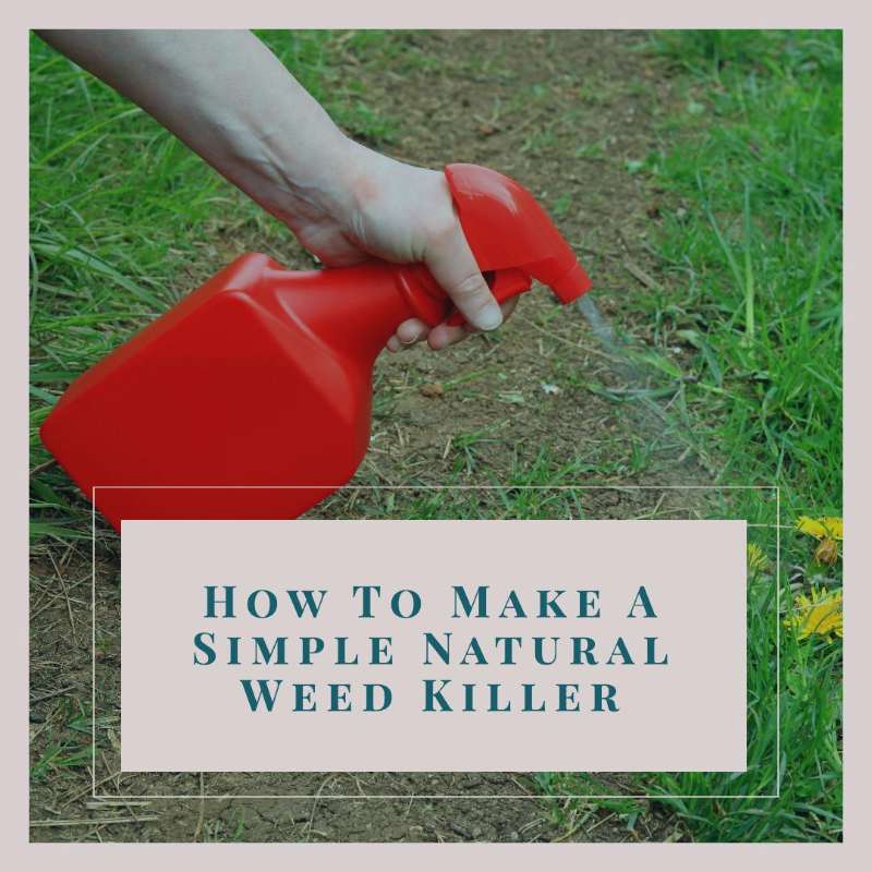 How To Make A Simple Natural Weed Killer