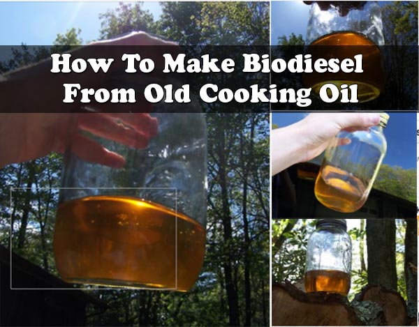 How To Make Biodiesel From Old Cooking Oil