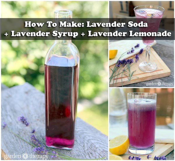 How To Make: Lavender Soda + Lavender Syrup + Lavender Lemonade
