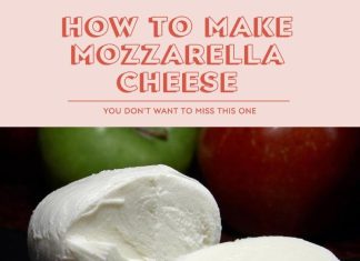 How To Make Fresh Homemade Mozzarella Cheese How To Make Mozzarella Cheese
