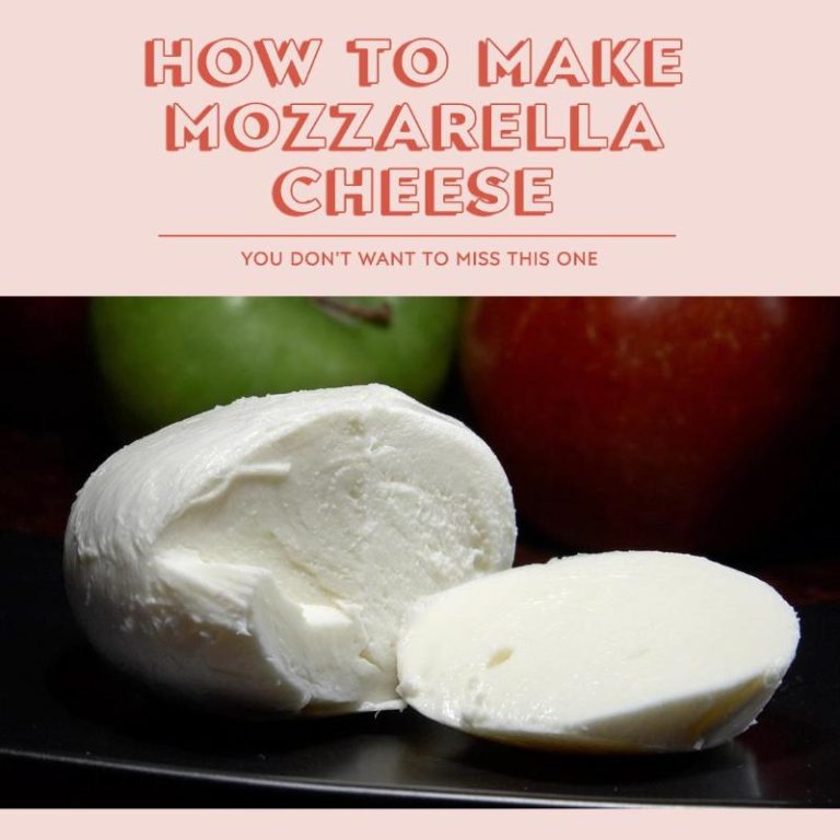 How To Make Yummy Mozzarella Cheese