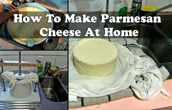 How To Make Parmesan Cheese