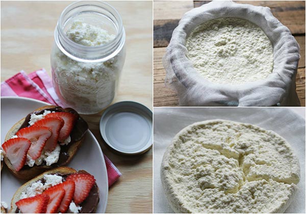 How To Make Ricotta Cheese At Home