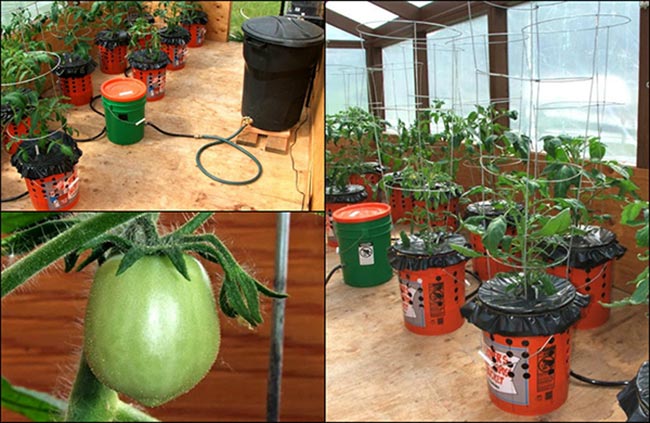 How To Make Self Watering Grow Buckets