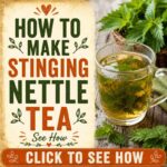 How To Make Stinging Nettle Tea