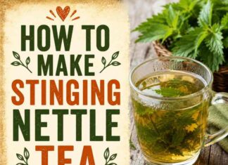 How To Make Stinging Nettle Tea How To Make Stinging Nettle Tea