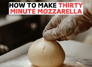 How To Make Thirty Minute Mozzarella How To Make Thirty Minute Mozzarella