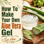 How To Make Your Own Aloe Vera Gel