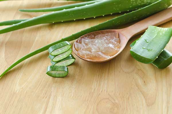 How To Make Your Own Aloe Vera Gel