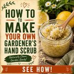 How To Make Your Own Gardener’s Hand Scrub
