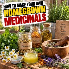 How To Make Your Own Homegrown Medicinals How To Make Your Own Homegrown Medicinals