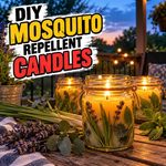 How To Make Your Own Mosquito Repellent Candles