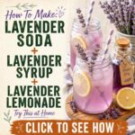 How To Make: Lavender Soda + Lavender Syrup + Lavender Lemonade