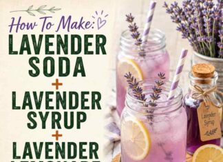 How To Make: Lavender Soda + Lavender Syrup + Lavender Lemonade How To Make: Lavender Soda + Lavender Syrup + Lavender Lemonade