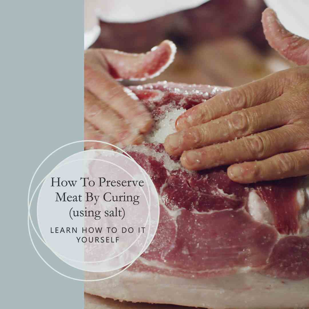 How To Preserve Meat By Curing (using salt)