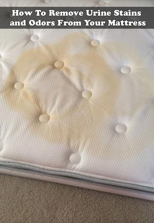 How To Remove Urine Stains and Odors From Your Mattress