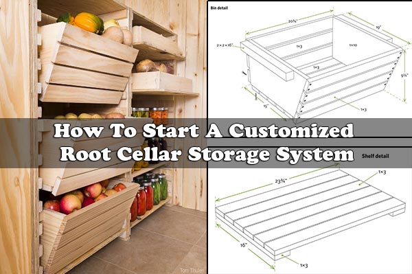 How To Start A Customized Root Cellar Storage System