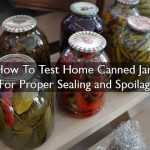 How To Test Home Canned Jars For Proper Sealing and Spoilage