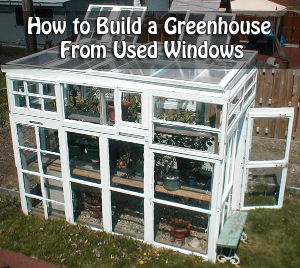 How to Build a Greenhouse from Used Windows