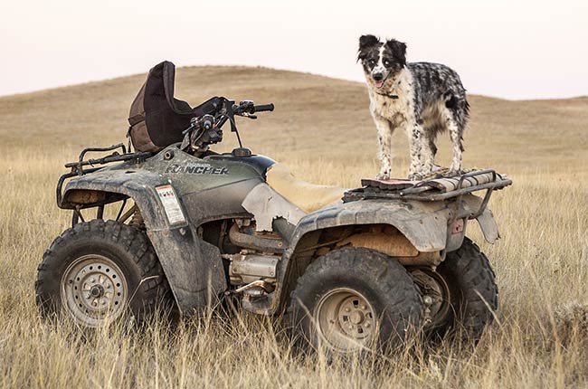 How to Convert Your Atv To Run On Propane