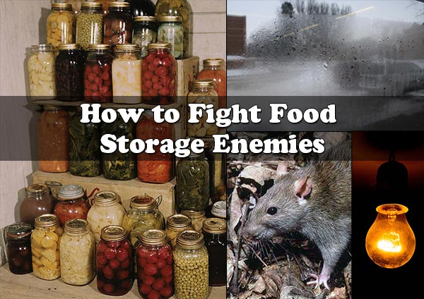 How to Fight Food Storage Enemies