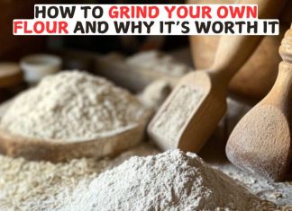 Why You Should Grind Your Own Flour and How How to Grind Your Own Flour and Why It’s Worth It