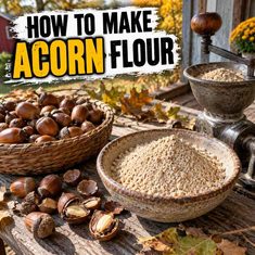 How to Make Acorn Flour How to Make Acorn Flour