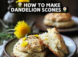 How to make dandelion scones How to Make Dandelion Scones