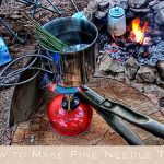 How to Make Pine Needle Tea