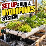 How to Setup and Run a Hydroponics System