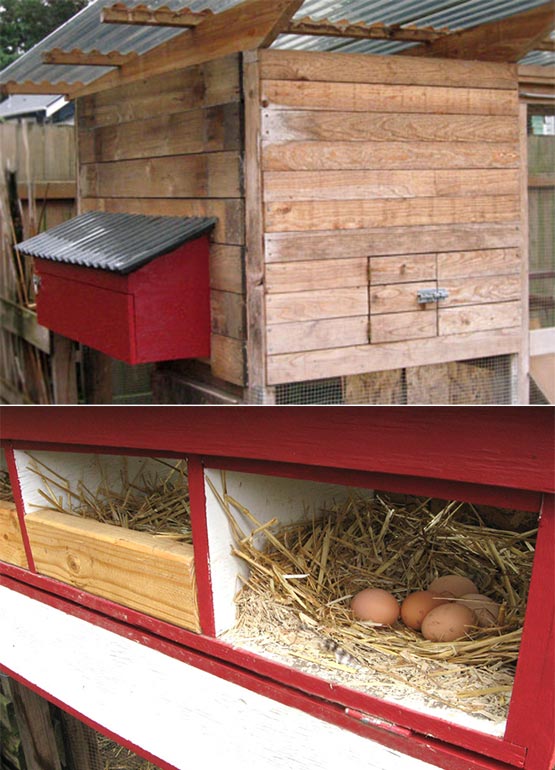 How to build external nest boxes for your chicken coop