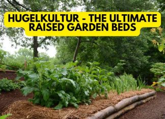 Hugelkultur – The Ultimate Raised Garden Beds Hugelkultur - The Ultimate Raised Garden Beds