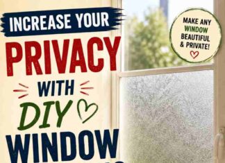 Increase Your Privacy with DIY Window Frosting Increase Your Privacy with DIY Window Frosting