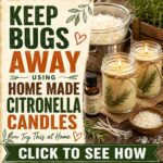 Keep Bugs Away Using Home Made Citronella Candles