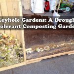 Keyhole Gardens: A Drought Tolerant Composting Garden