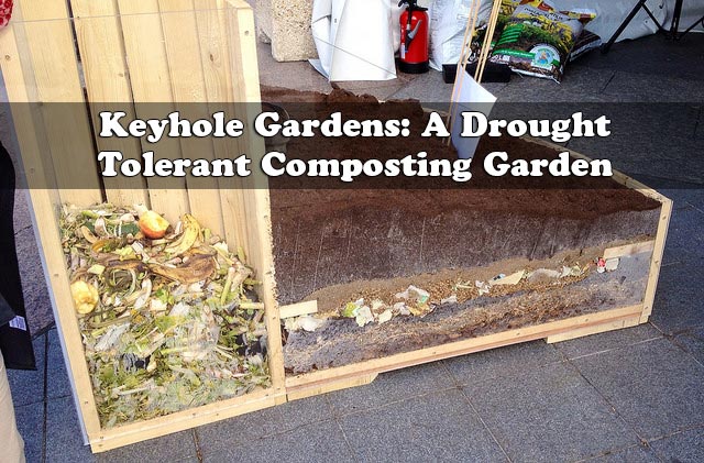 Keyhole Gardens: A Drought Tolerant Composting Garden 