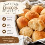 Light And Fluffy Einkorn Dinner Rolls Recipe