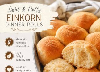 Light And Fluffy Einkorn Dinner Rolls Recipe Light And Fluffy Einkorn Dinner Rolls Recipe