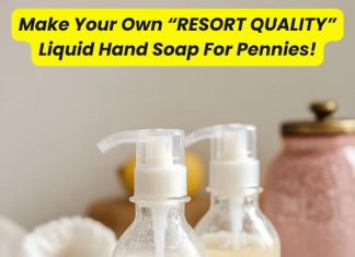 Make Your Own “RESORT QUALITY” Liquid Hand Soap For Pennies! Liquid Hand Soap For Pennies